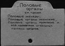 Имя файла=00563139.jpg
Размер файла=188КБ
Размеры=1482x1084
Дата=Окт 25, 2019 00563139.jpg