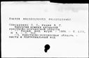 00407029.jpg