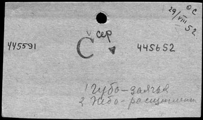 Нажмите, чтобы посмотреть в полный размер