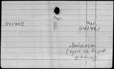 Нажмите, чтобы посмотреть в полный размер