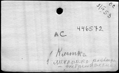 Нажмите, чтобы посмотреть в полный размер