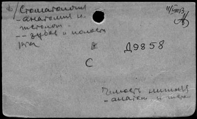 Нажмите, чтобы посмотреть в полный размер