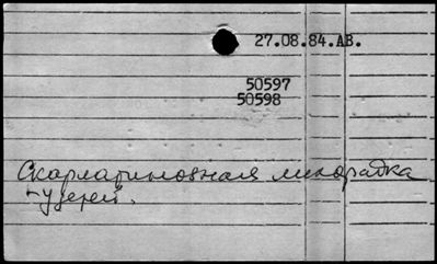 Нажмите, чтобы посмотреть в полный размер