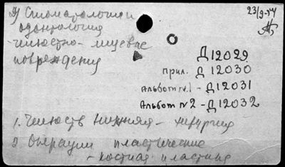 Нажмите, чтобы посмотреть в полный размер