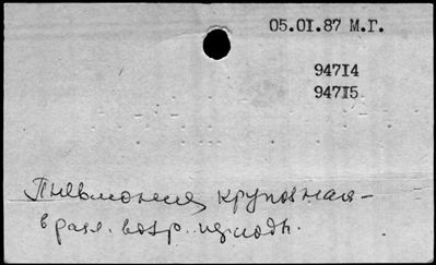 Нажмите, чтобы посмотреть в полный размер