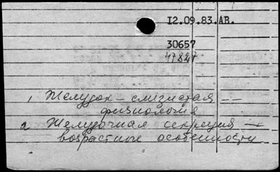 Нажмите, чтобы посмотреть в полный размер