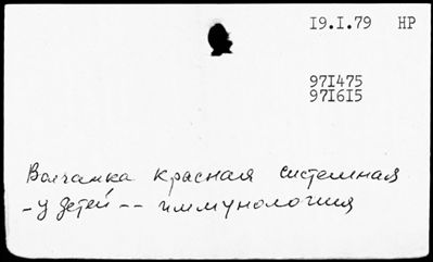 Нажмите, чтобы посмотреть в полный размер