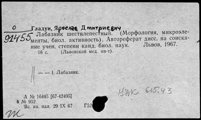 Нажмите, чтобы посмотреть в полный размер