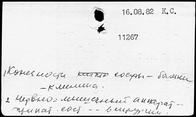 Нажмите, чтобы посмотреть в полный размер