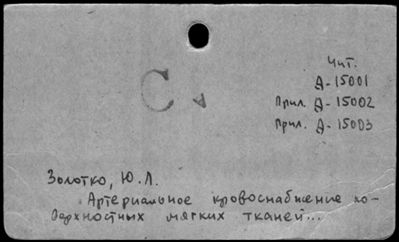 Нажмите, чтобы посмотреть в полный размер