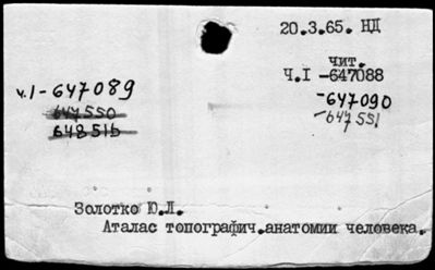 Нажмите, чтобы посмотреть в полный размер