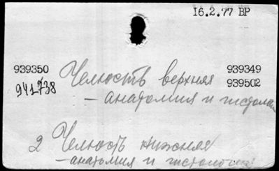 Нажмите, чтобы посмотреть в полный размер