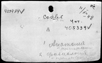 Нажмите, чтобы посмотреть в полный размер