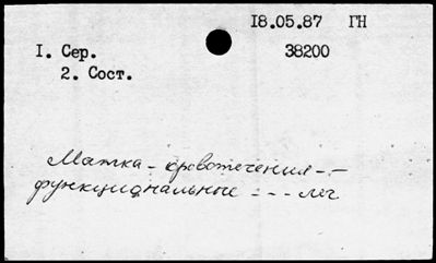 Нажмите, чтобы посмотреть в полный размер