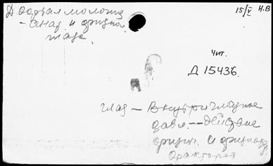 Нажмите, чтобы посмотреть в полный размер