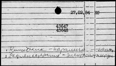 Нажмите, чтобы посмотреть в полный размер