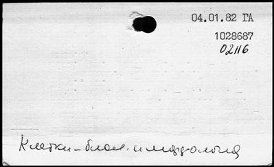 Нажмите, чтобы посмотреть в полный размер