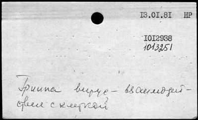 Нажмите, чтобы посмотреть в полный размер