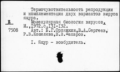 Нажмите, чтобы посмотреть в полный размер