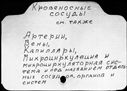 Имя файла=00147521.jpg
Размер файла=188КБ
Размеры=1482x1084
Дата=Окт 16, 2019 00147521.jpg