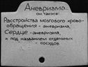 Имя файла=00259602.jpg
Размер файла=188КБ
Размеры=1482x1084
Дата=Окт 17, 2019 00259602.jpg